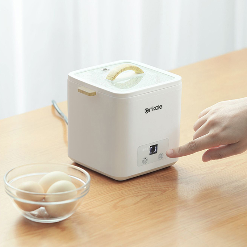 4 Eggs Boiler Steamer Multi Fu - Egg Cooker Rapid recensione e prezzo