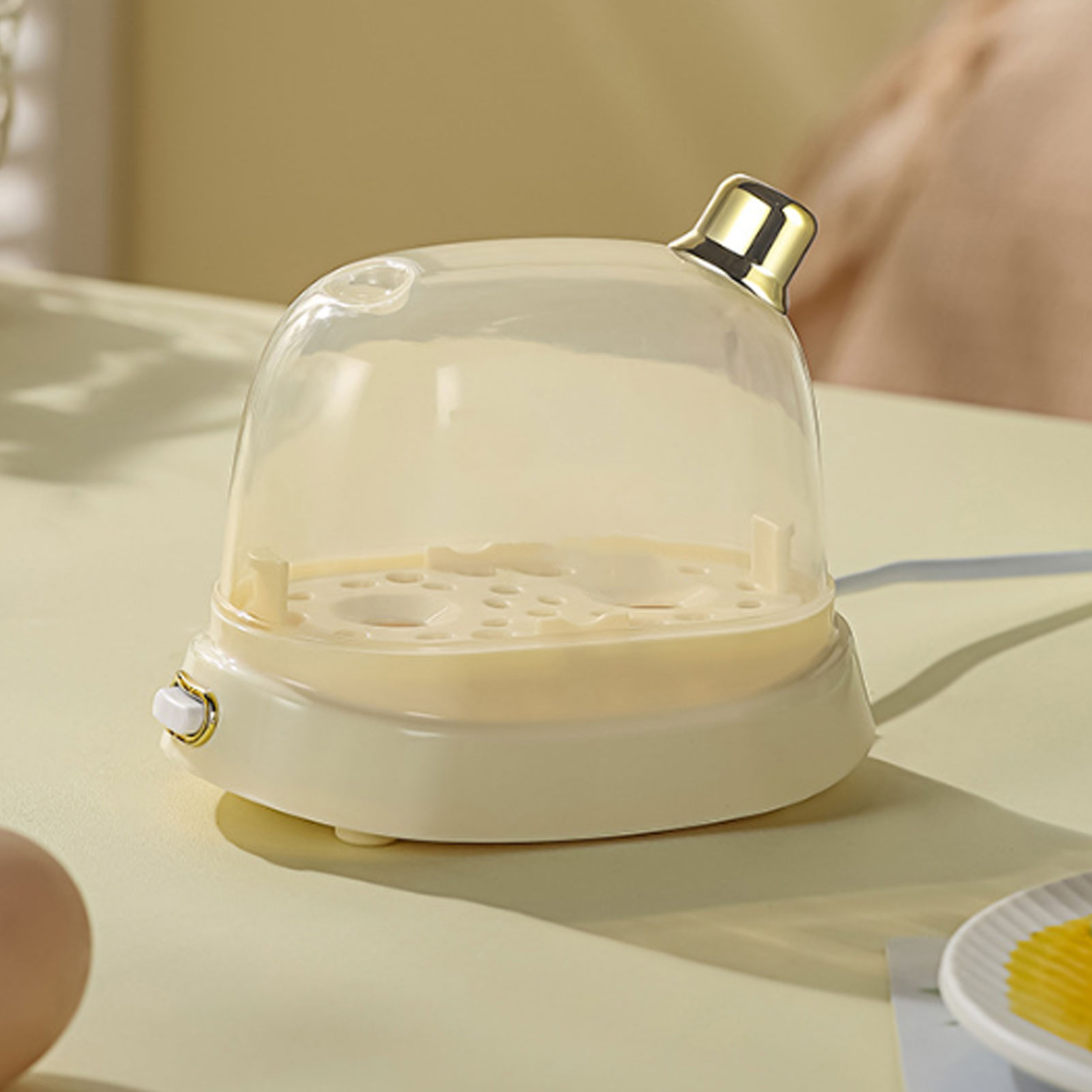 Rapid Egg Cooker 2 Egg Capacit - Egg Cooker Rapid recensione e prezzo
