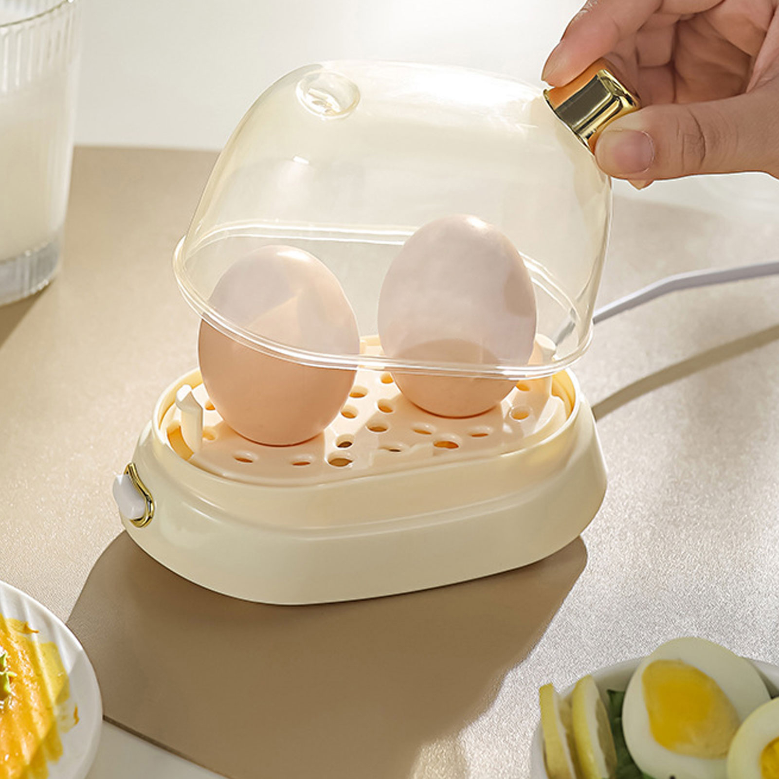 Rapid Egg Cooker 2 Egg Capacit - Egg Cooker Rapid recensione e prezzo