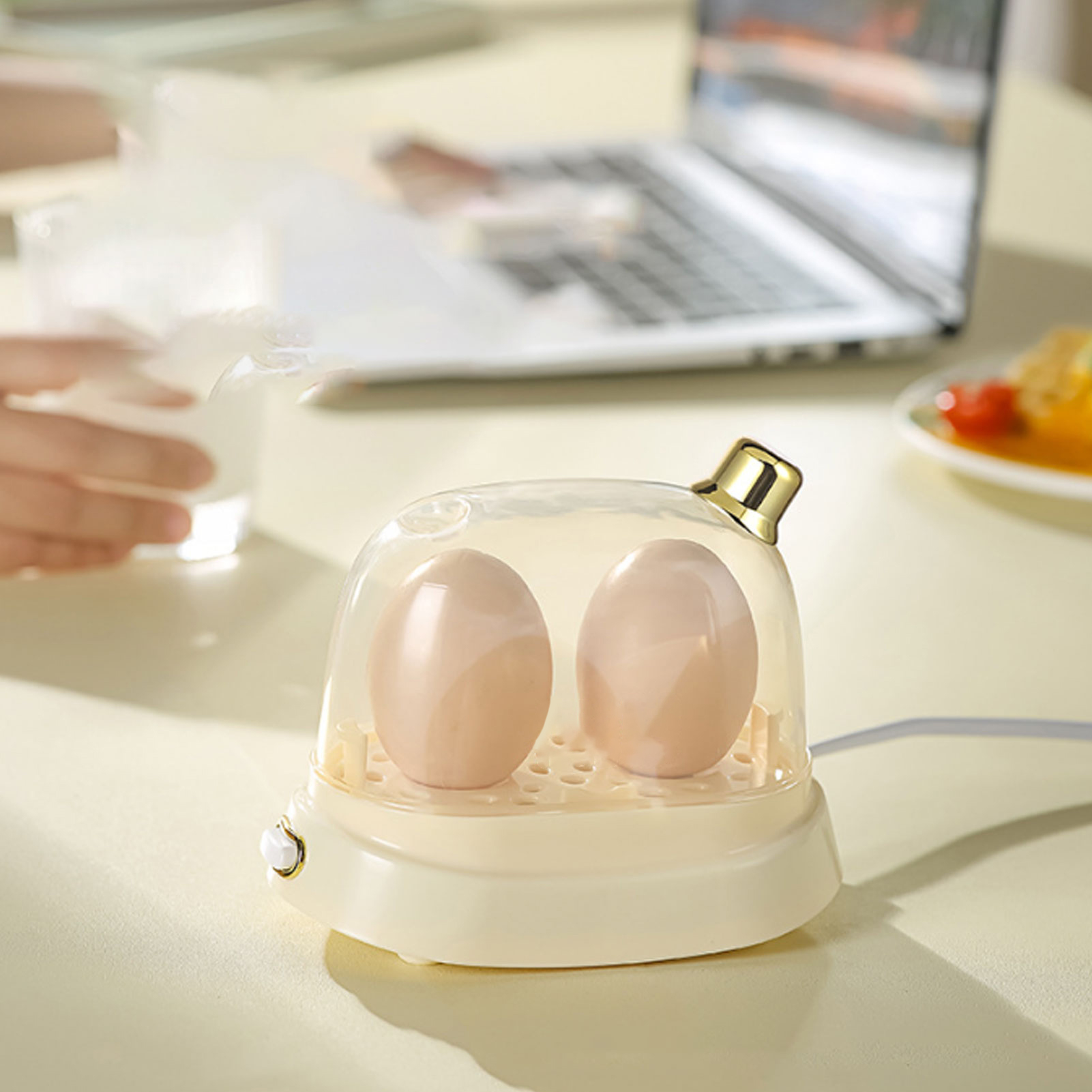 Rapid Egg Cooker 2 Egg Capacit - Egg Cooker Rapid recensione e prezzo